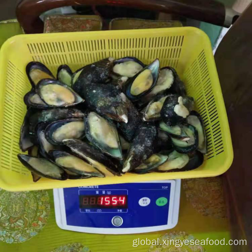 Mussel Meat with Half Shell Frozen Half Shell Mussels Manufactory